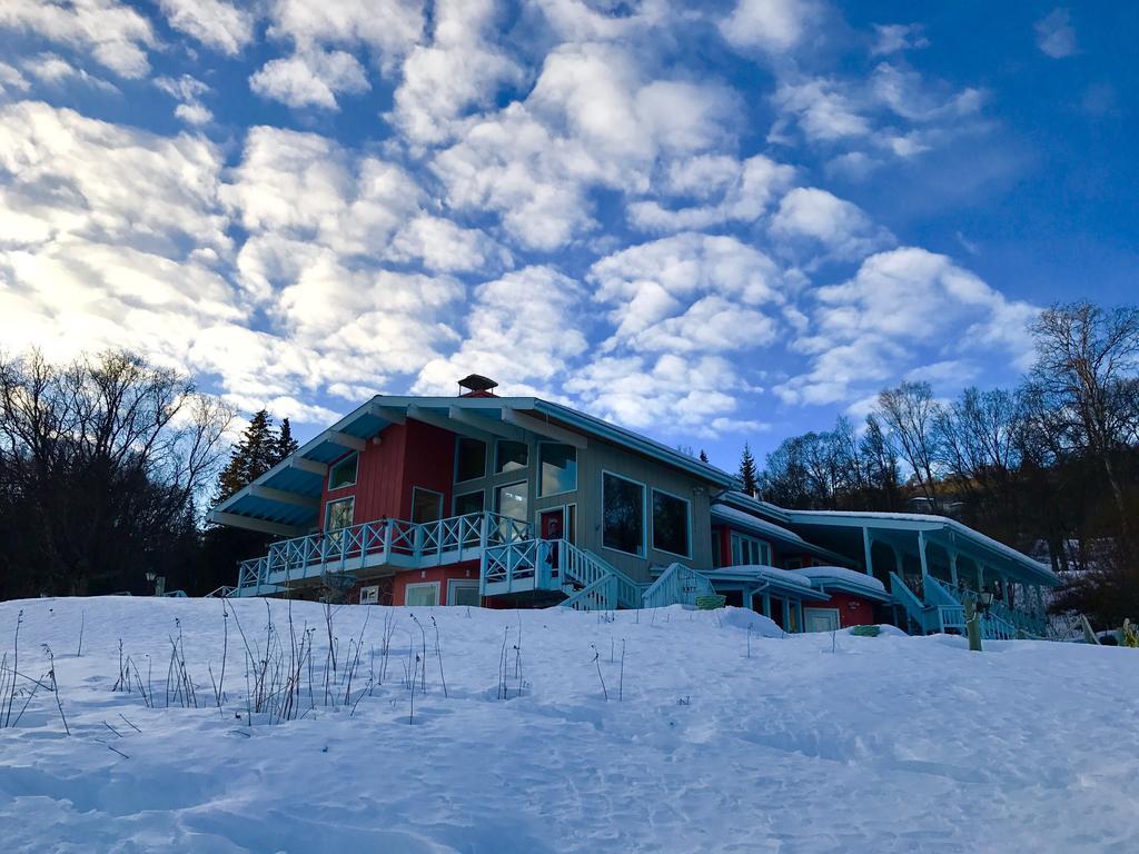 Halcyon Heights B&B/Inn ホーマー エクステリア 写真